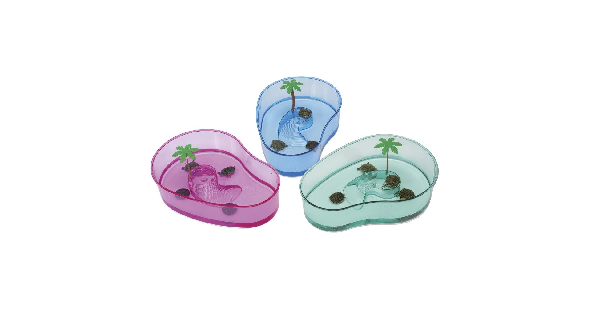 Akuarium transparent për Breshka uji